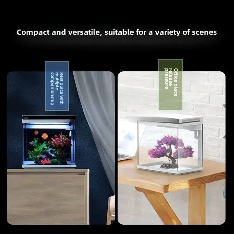 Aquarium Fish Without Oxygen - b7- ultra-white glass small fish tank