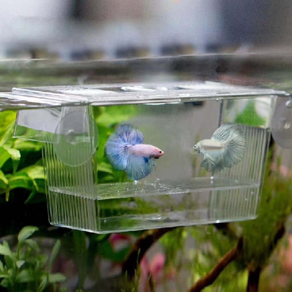 Aquarium Fish Reproduction - New Acrylic Fish Tank Breeding Incubator