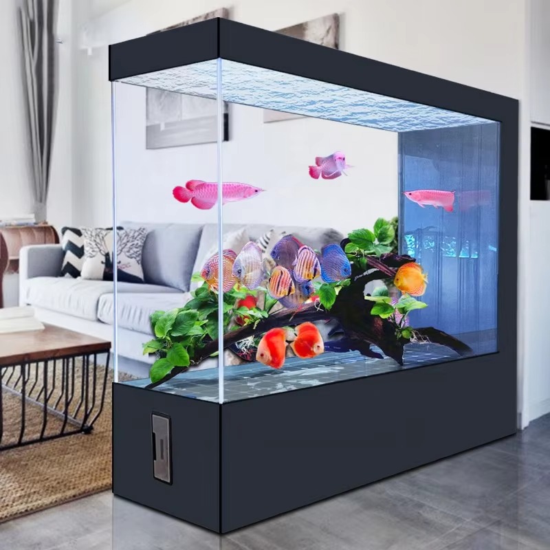 Aquarium Fish And Price - Wholesale Customization Latest Design Black Glass