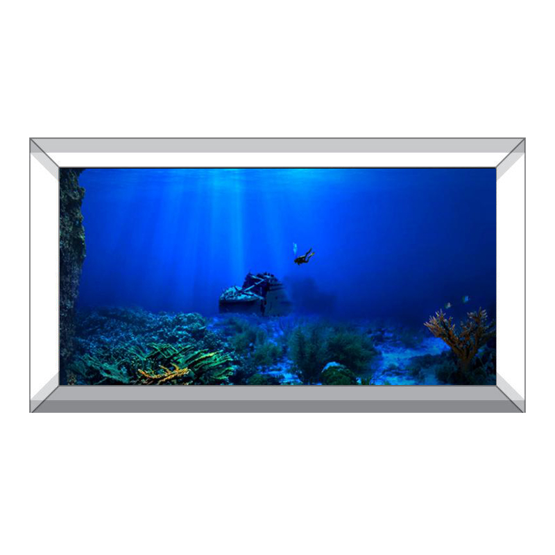 Fish Tank Background Decorativ - огляд і ціна Aquarium Fish Of The World