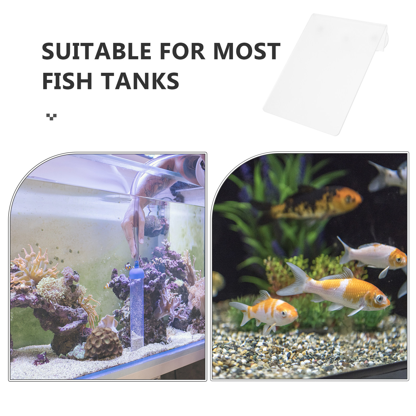Removable Fish Breeding Lightw - огляд і ціна Aquarium Fish Discus