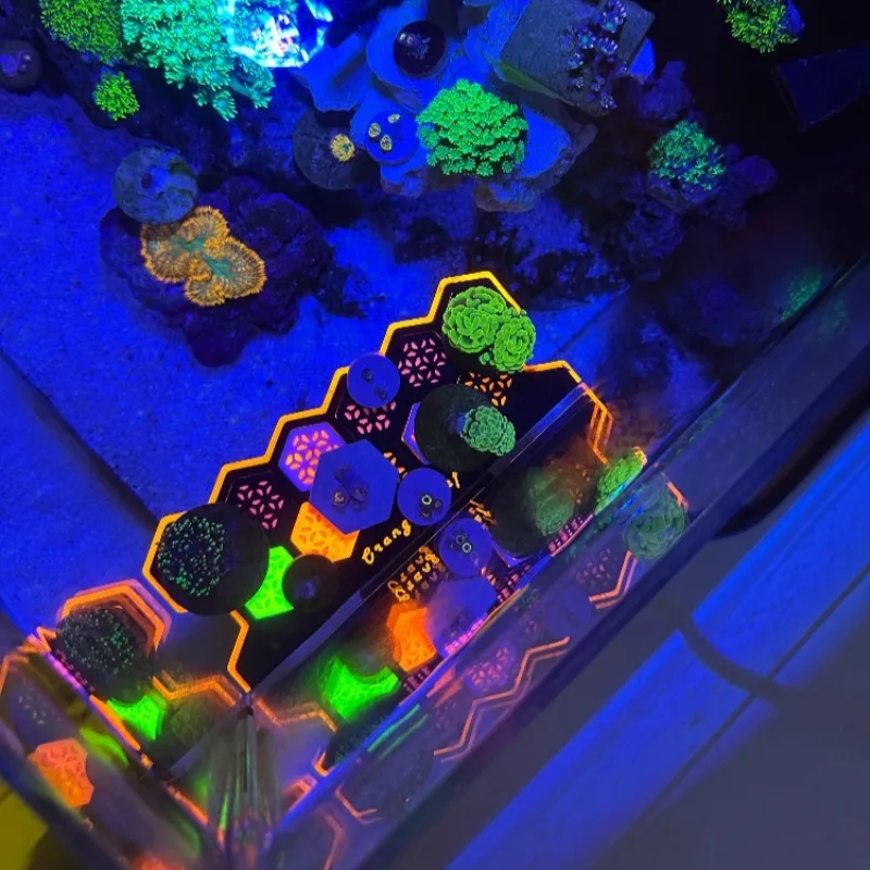 Fluorescent Coral Frag Plugs L - огляд і ціна Aquarium Fish Reproduction