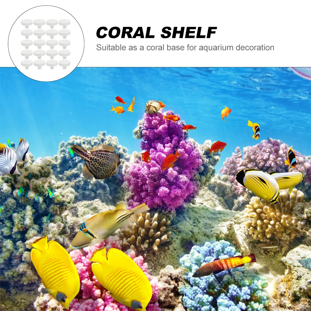 20Pcs Coral Glue Reef Safe Cor - огляд і ціна Aquarium Fish Reproduction