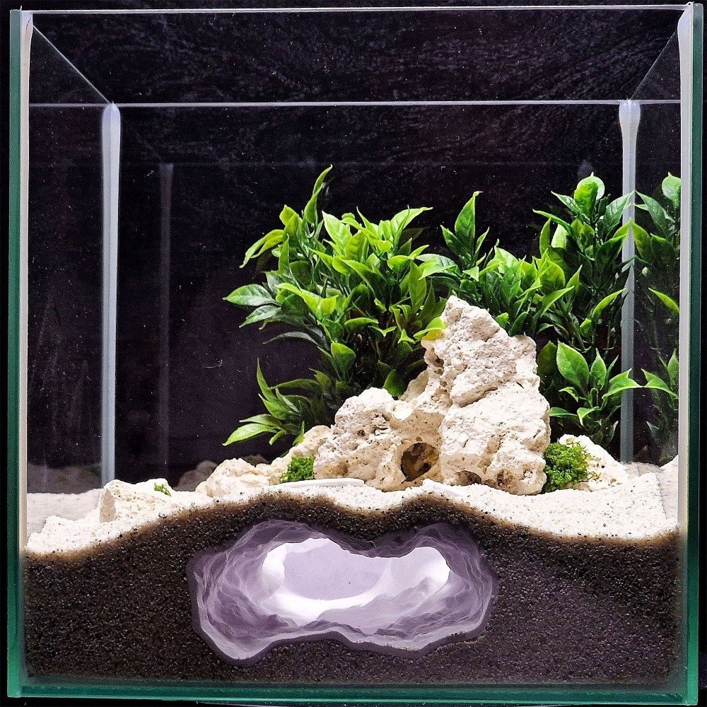 Highly Simulated Aquarium Fish - огляд і ціна Aquarium Fish Reproduction
