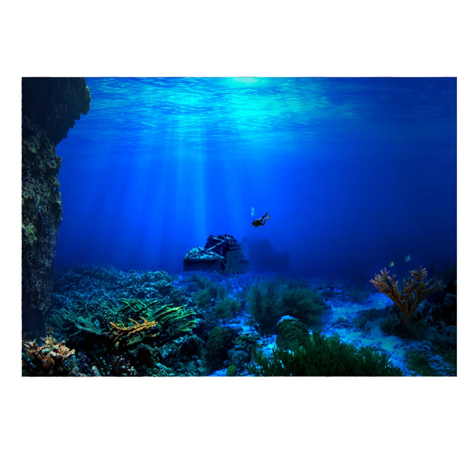 Rainforest Aquarium Background - огляд і ціна Aquarium Fish Of The World