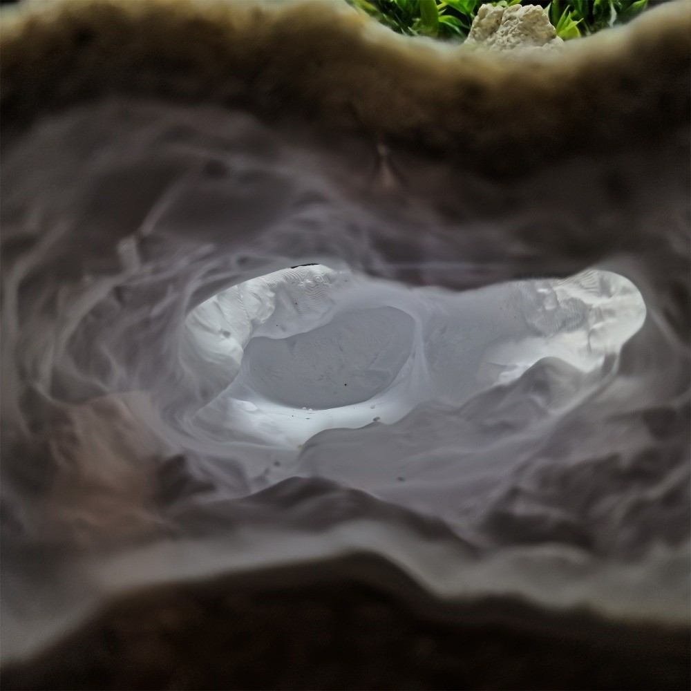 Highly Simulated Aquarium Fish - огляд і ціна Aquarium Fish Reproduction