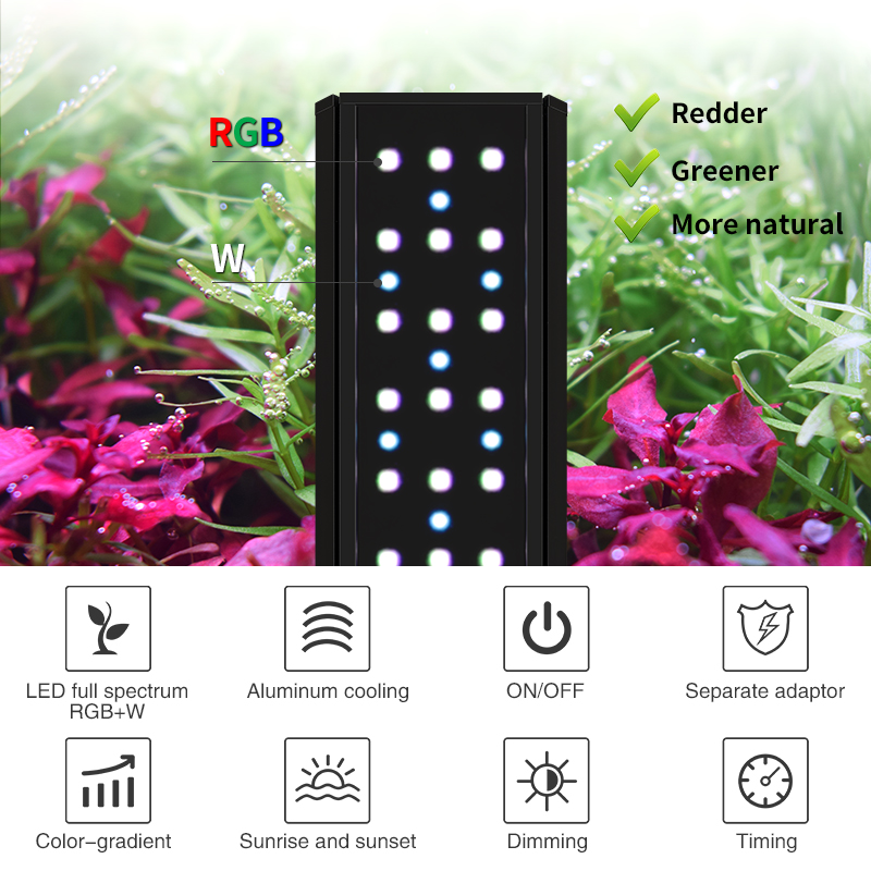 V300SE Best Price 30 40cm Fres - огляд і ціна Aquarium Fish And Price