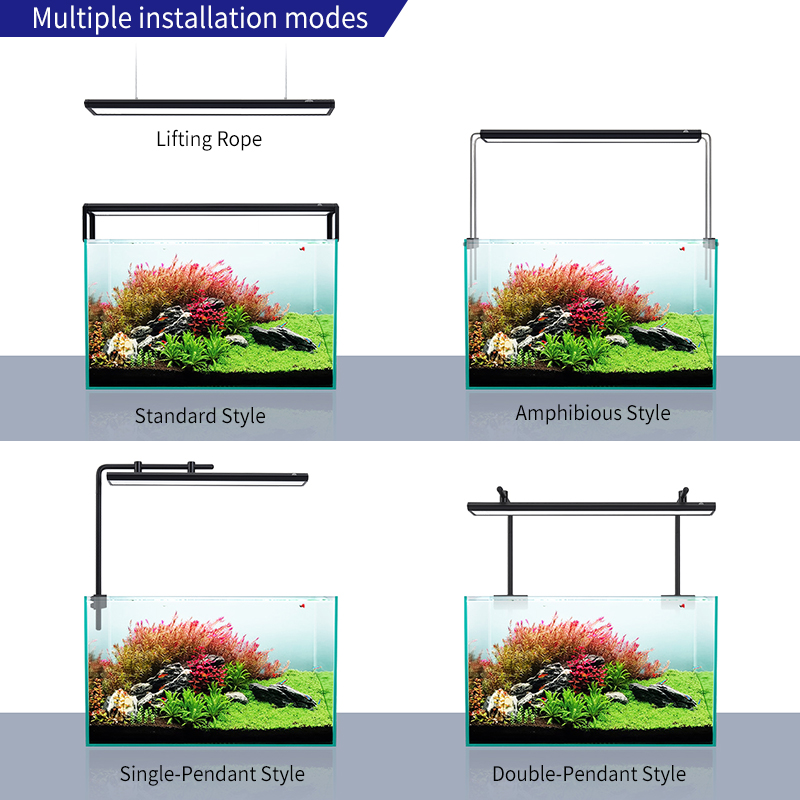 V300SE Best Price 30 40cm Fres - огляд і ціна Aquarium Fish And Price