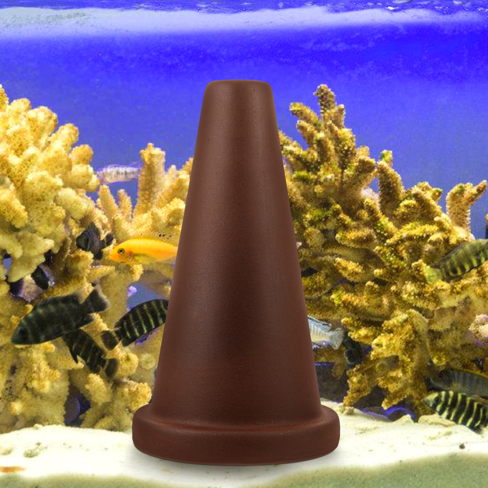 Aquarium Breeding Cone Fish Sp - огляд і ціна Aquarium Fish Discus