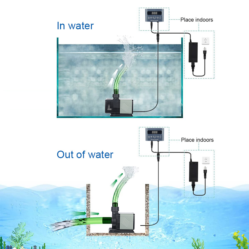 Factory Direct Wholesaler Pric - огляд і ціна Aquarium Fish And Price