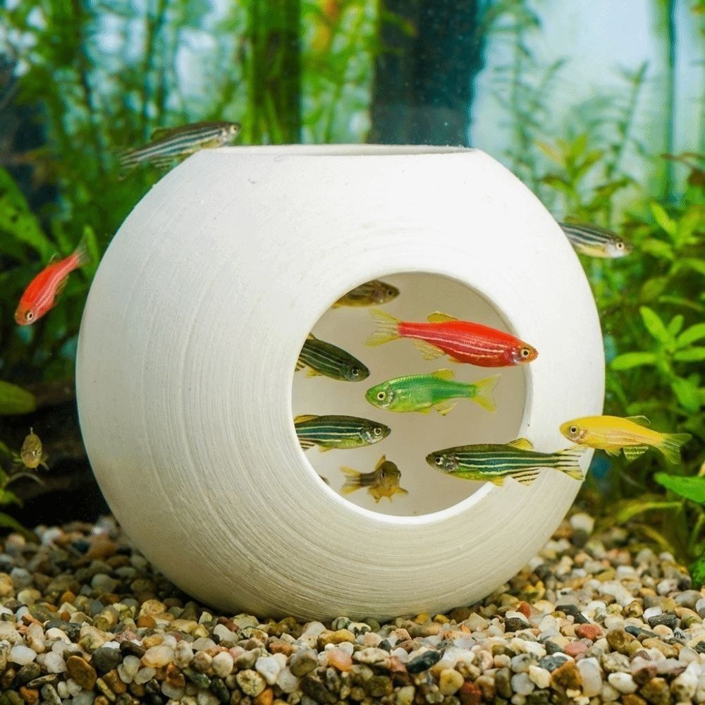 Plastic Fish Shrimp Hiding Cav - огляд і ціна Aquarium Fish Discus