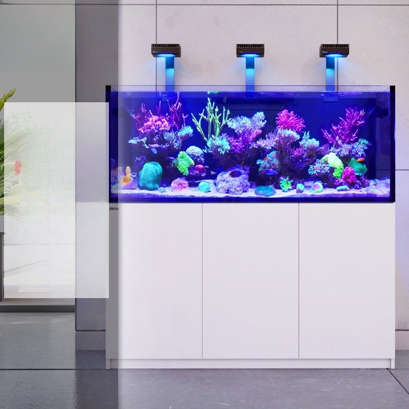 2026 Hot Selling Wholesale Pri - огляд і ціна Aquarium Fish And Price