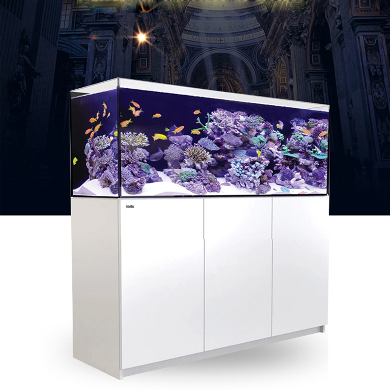 2026 Hot Selling Wholesale Pri - огляд і ціна Aquarium Fish And Price