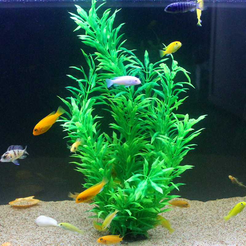 50CM Artificial Fish Tank Rare - огляд і ціна Aquarium Fish Artificial