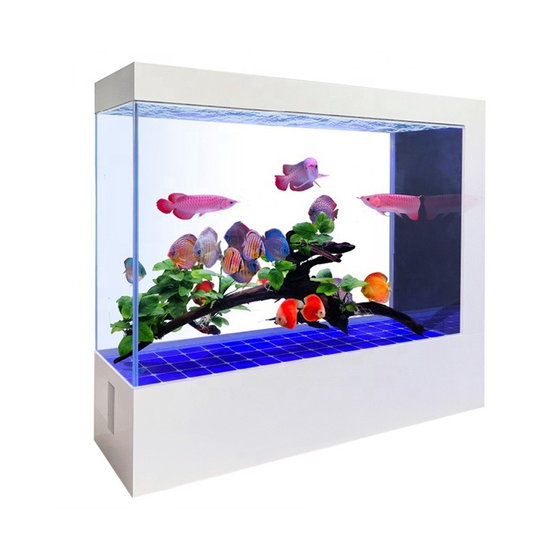 Wholesale Customization Latest - огляд і ціна Aquarium Fish And Price