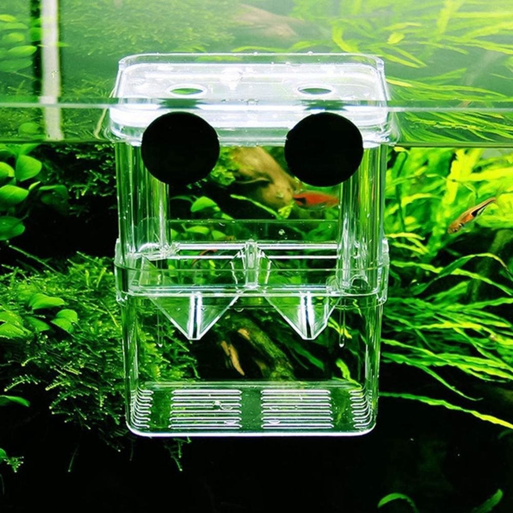 Multifunctional Aquarium Fish  - огляд і ціна Aquarium Fish Reproduction