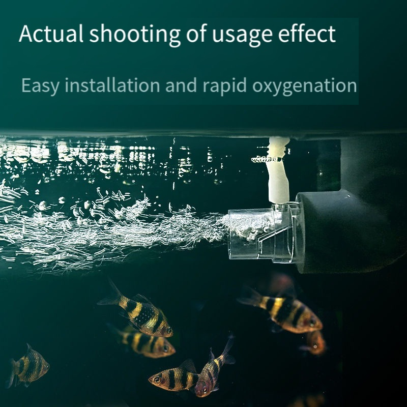Oxygen Diffuser Pipe Filter At - огляд і ціна Aquarium Fish Without Oxygen