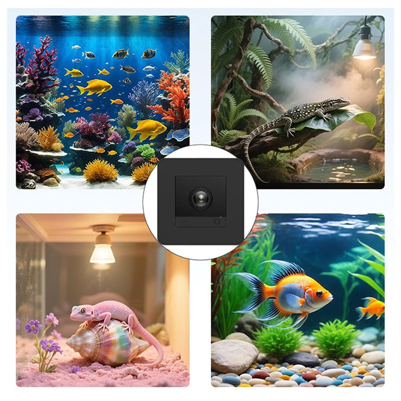 【Price Drop !!】Fish Tank Camer - огляд і ціна Aquarium Fish And Price